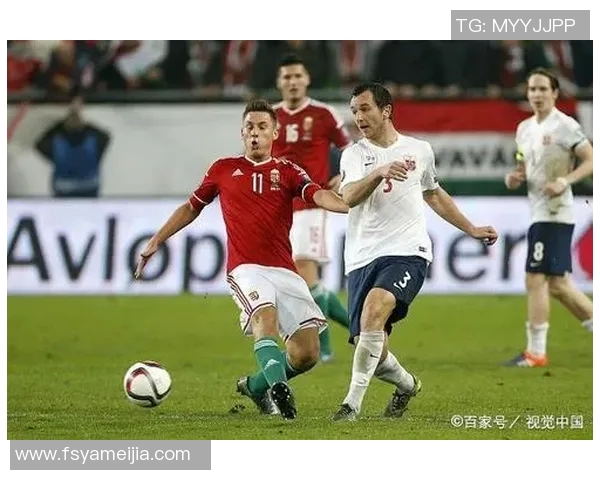 威尔士与斯洛伐克比赛前瞻分析及胜负预测全解析